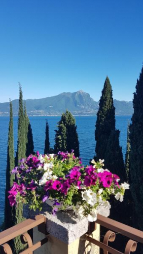 Il Paradiso Apartments Great View Gardasee Torri Del Benaco